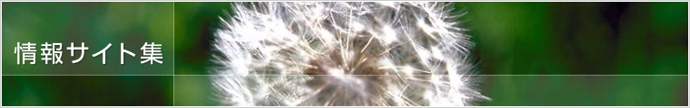 ���T�C�g�W